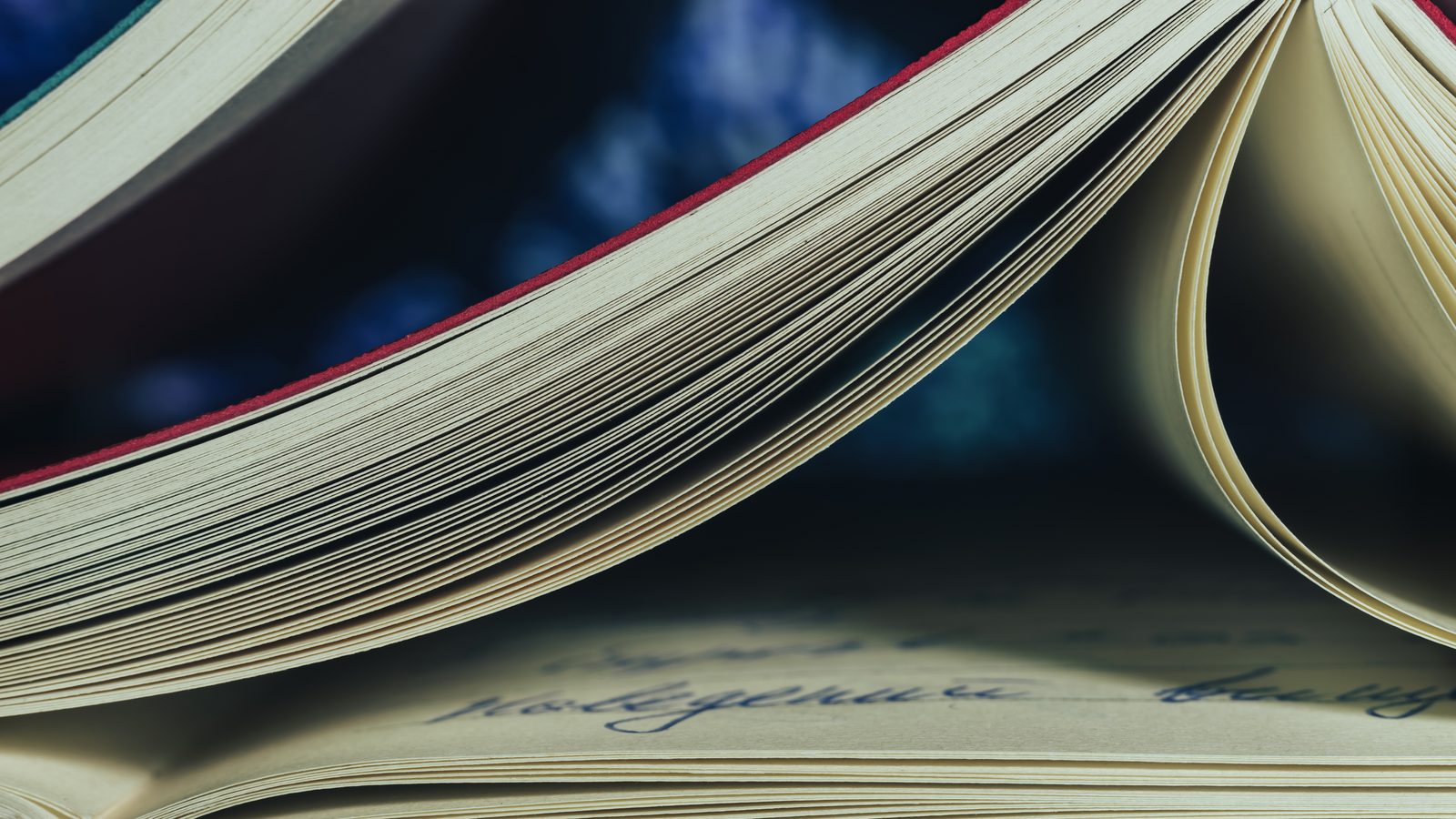 Human Rights and Open Money